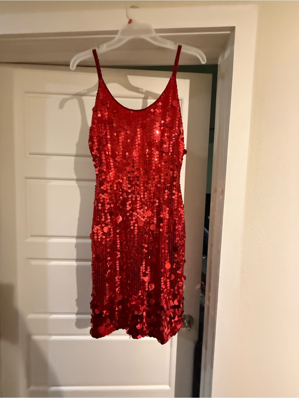 Nadine Red Sequin Fringe Dress